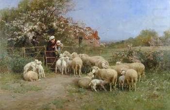 Sheep 138, unknow artist